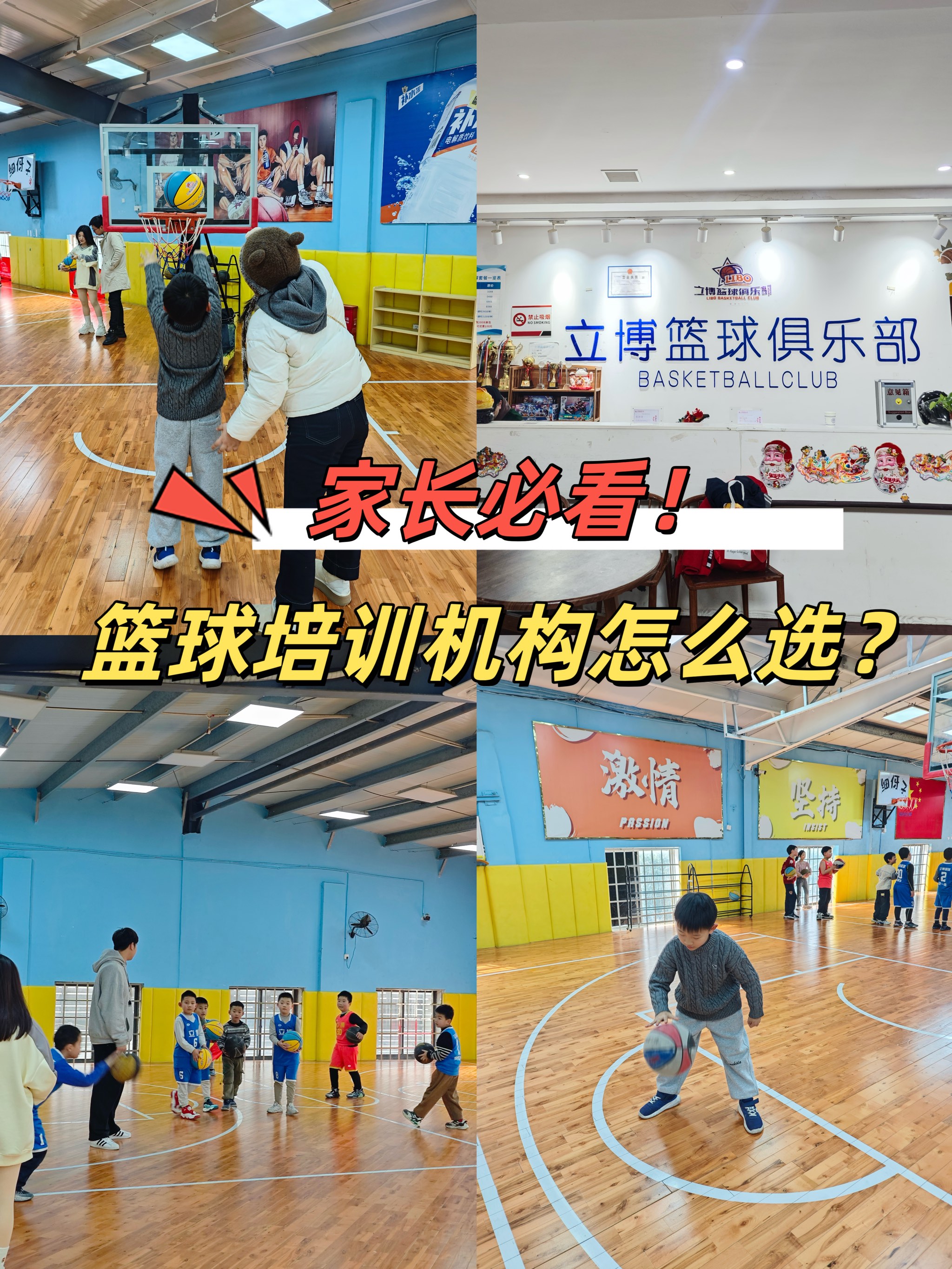爱游戏app-专业篮球培训学院成立，引领球员培训新潮流的简单介绍